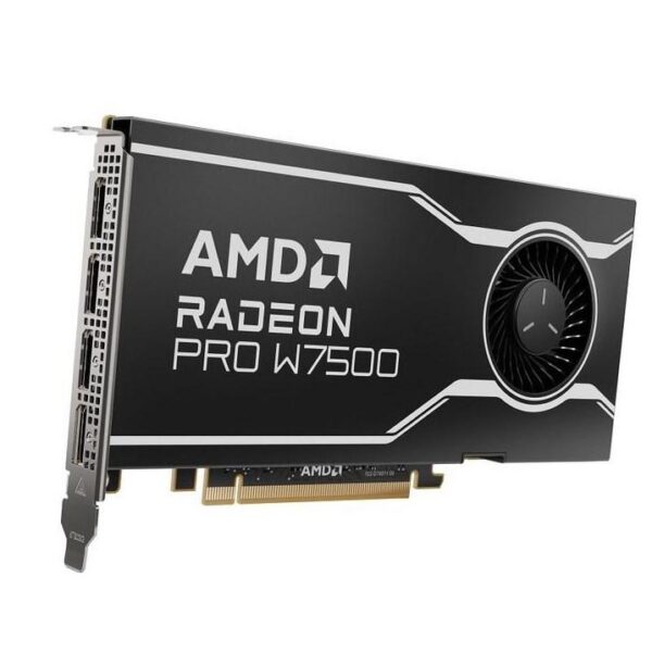 SCHEDA VIDEO RADEON PRO W7500 8 GB DDR6 (100-300000078)