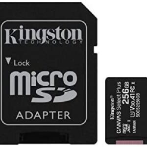 TRANS FLASH 256 GB CANVAS SELECT PLUS (SDCS2/256GB) CLASS 10